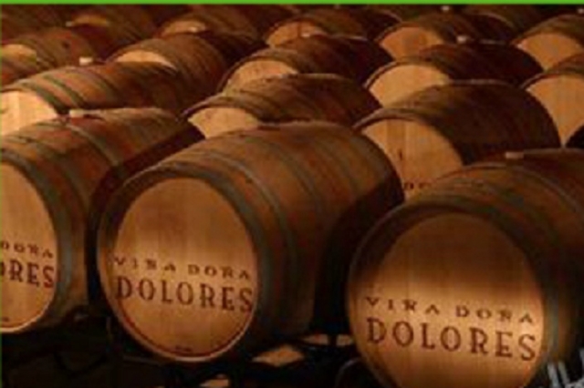 Vinos de queretaro